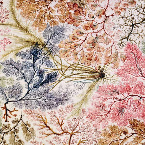 Textile Design by William Kilburn MacBook Skins